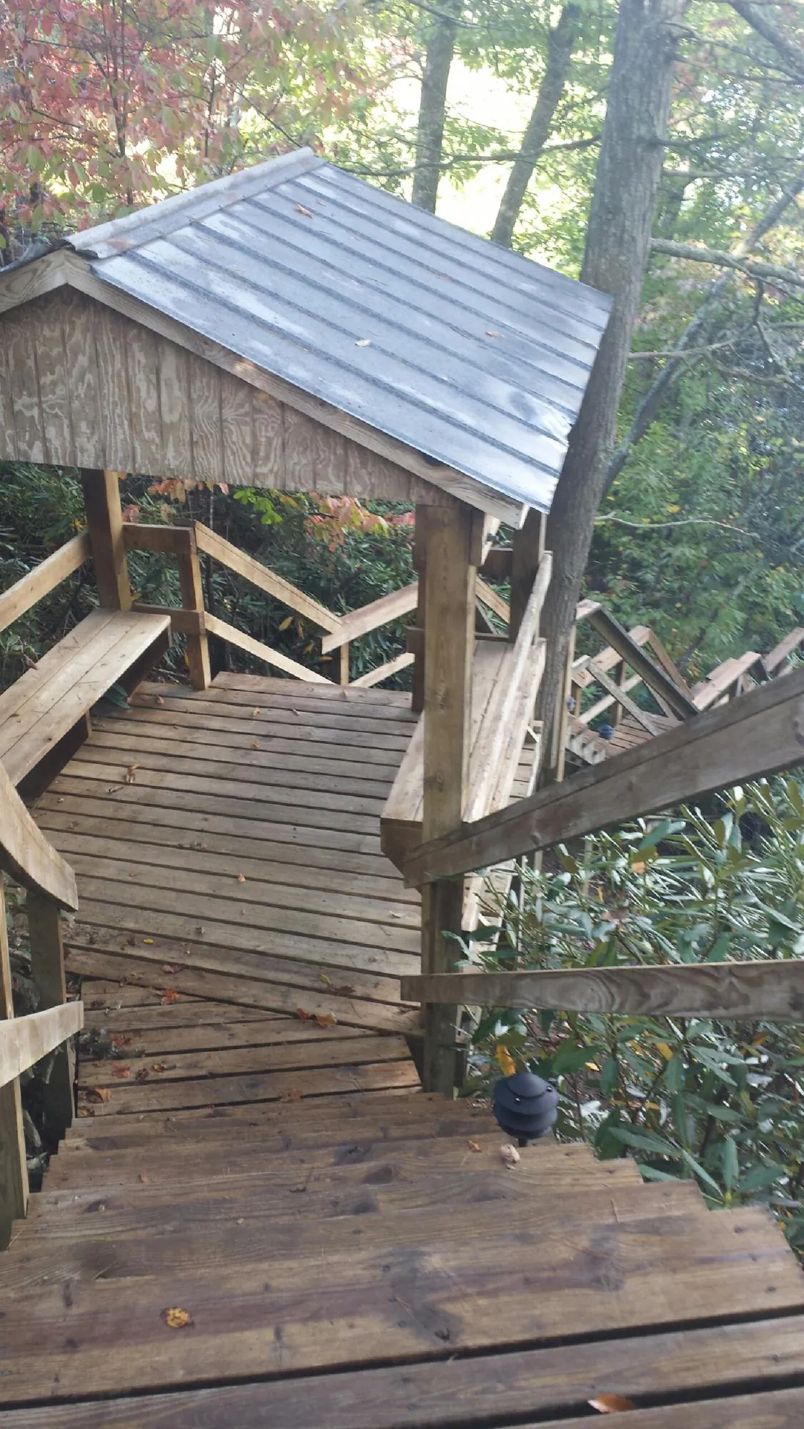 Metal roofed shelter over wooden steps on a wooded walkway — Skylight Repair & Installation work by our crew in Carmichael