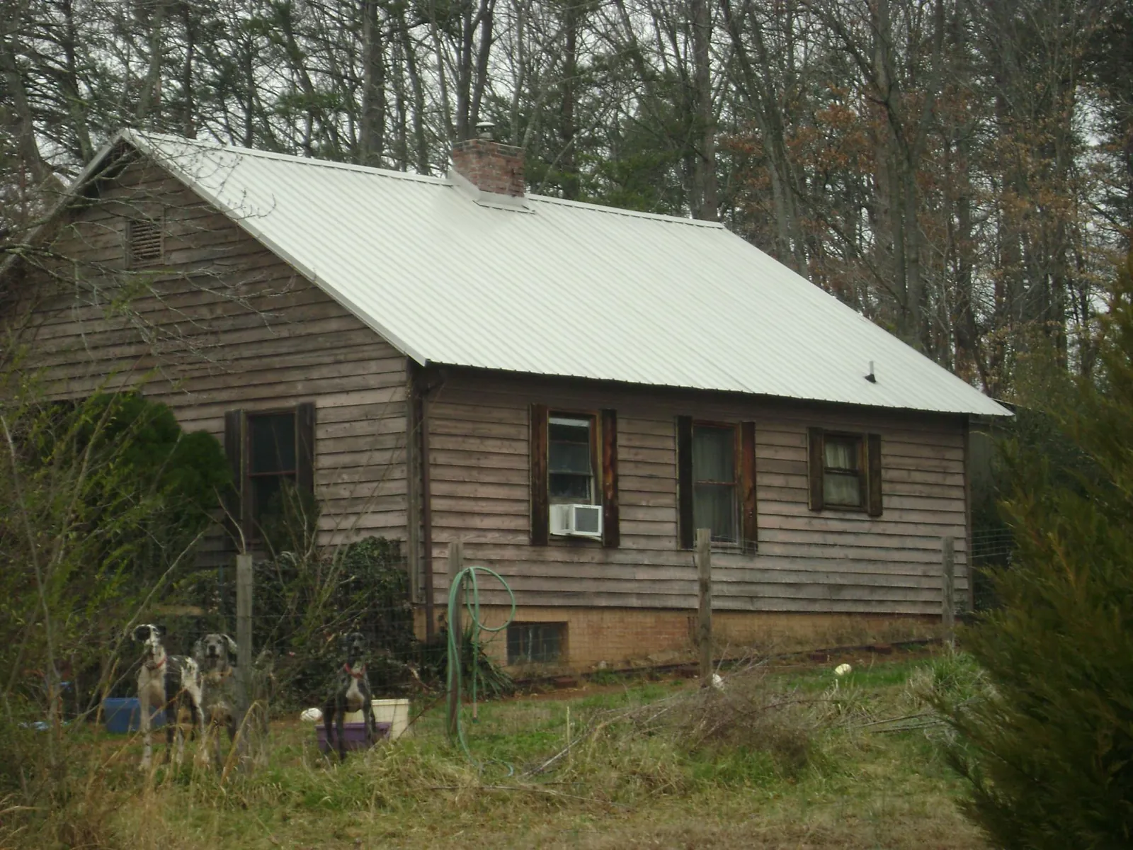 White metal roof on an old wood sided farmhouse, from a Asphalt Shingle Roof Repair job in Carmichael